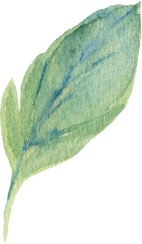 leaf watercolor